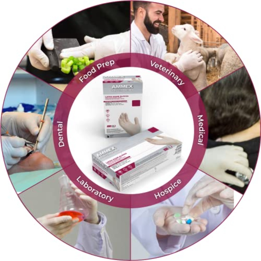 AMMEX White Latex Disposable E - Latex Disposable Glove のレビューと価格