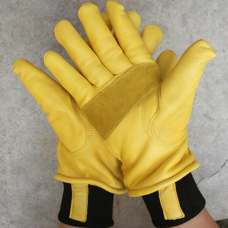 Mens Motorcycle Winter Gloves  - Winter Glove Insulated のレビューと価格